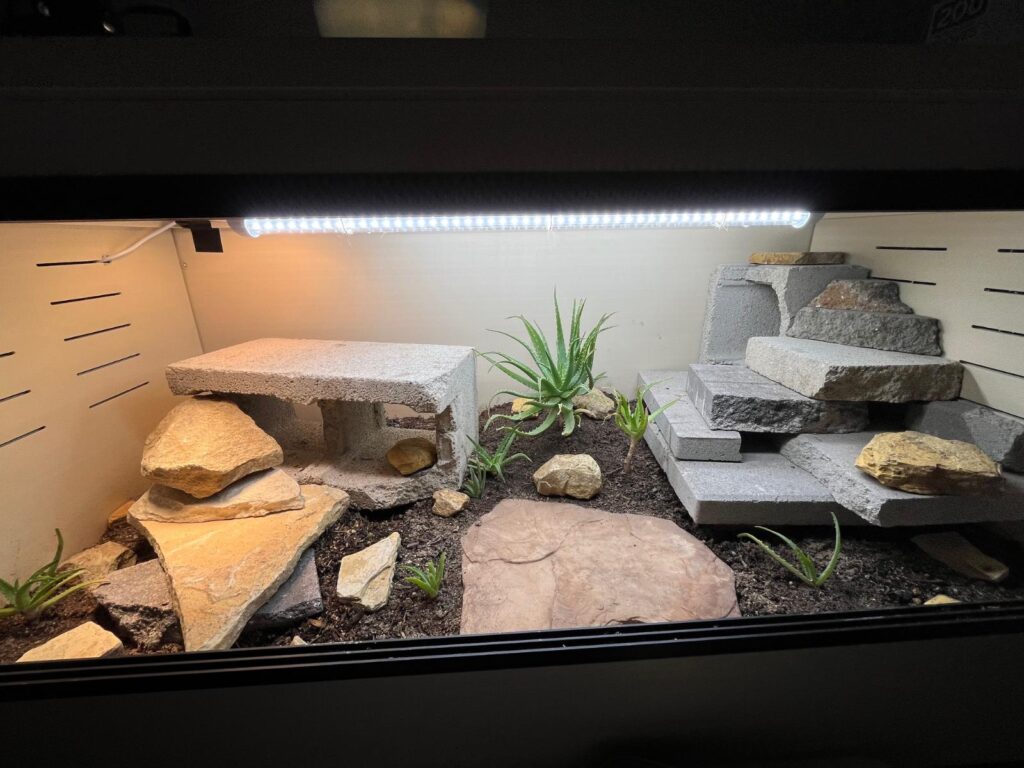 arid reptile enclosure 4 x 2 x 2 feet