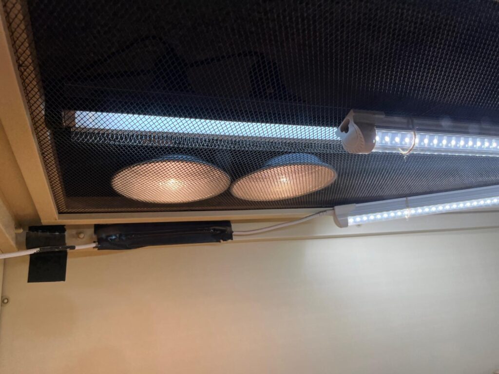 reptile enclosure lighting with UVB, LED, and Par38 Bulbs