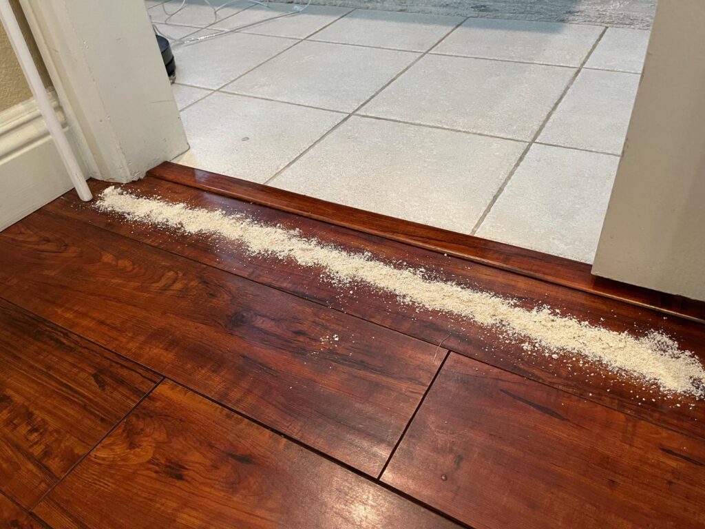 trail of flour on floor