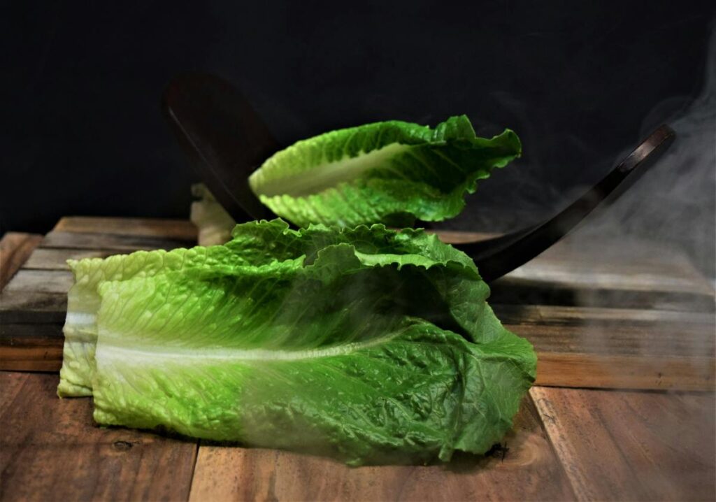 romaine letuce leafs