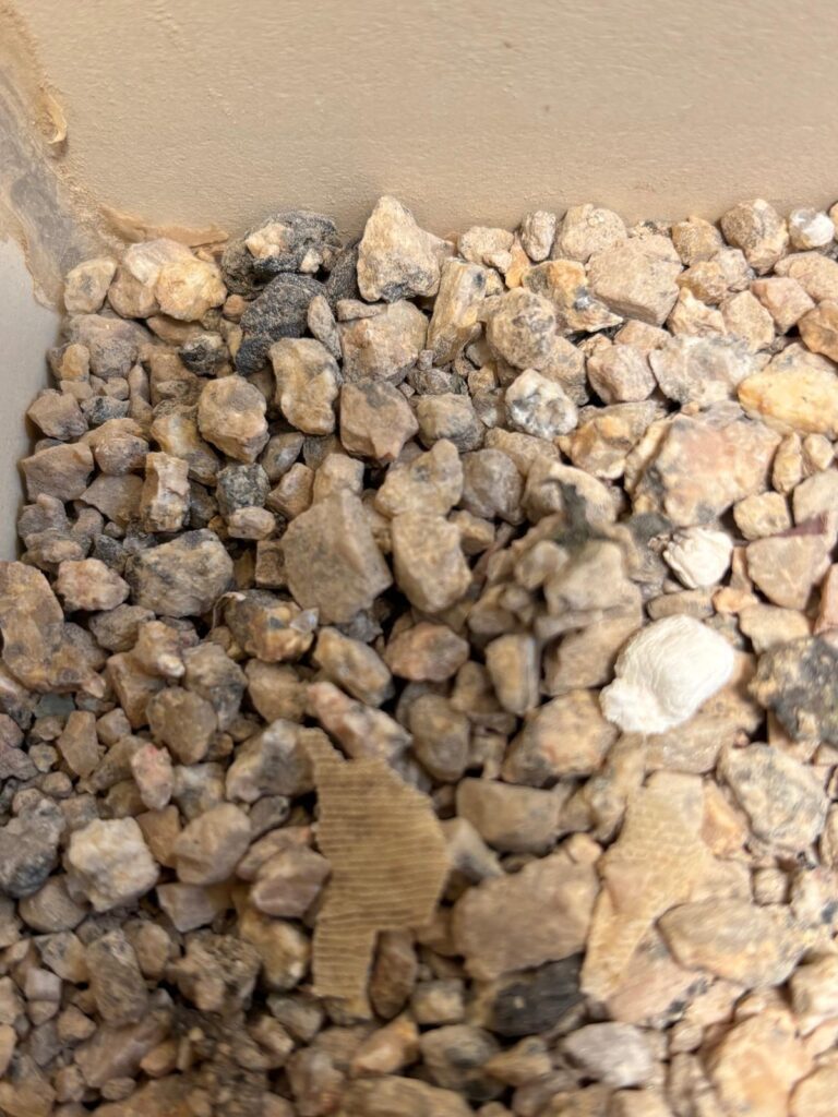 reptile urates
