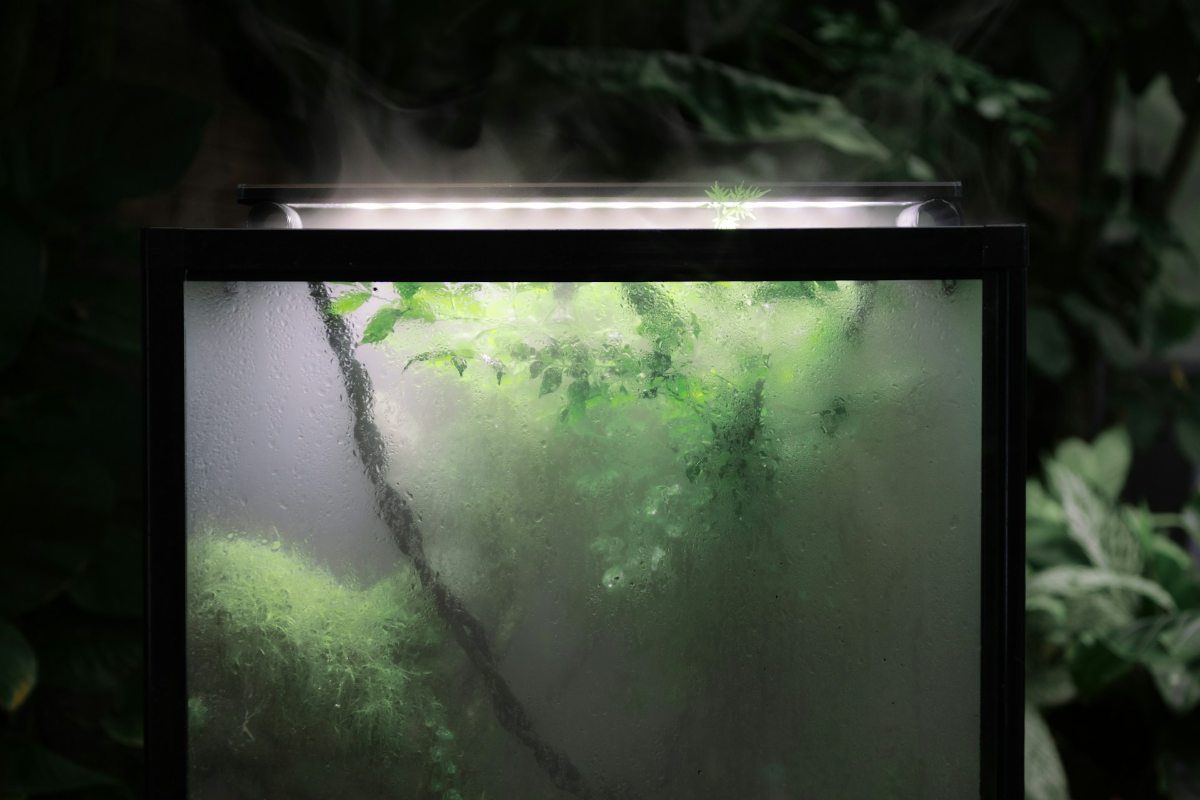 terrarium with mist and fog inside